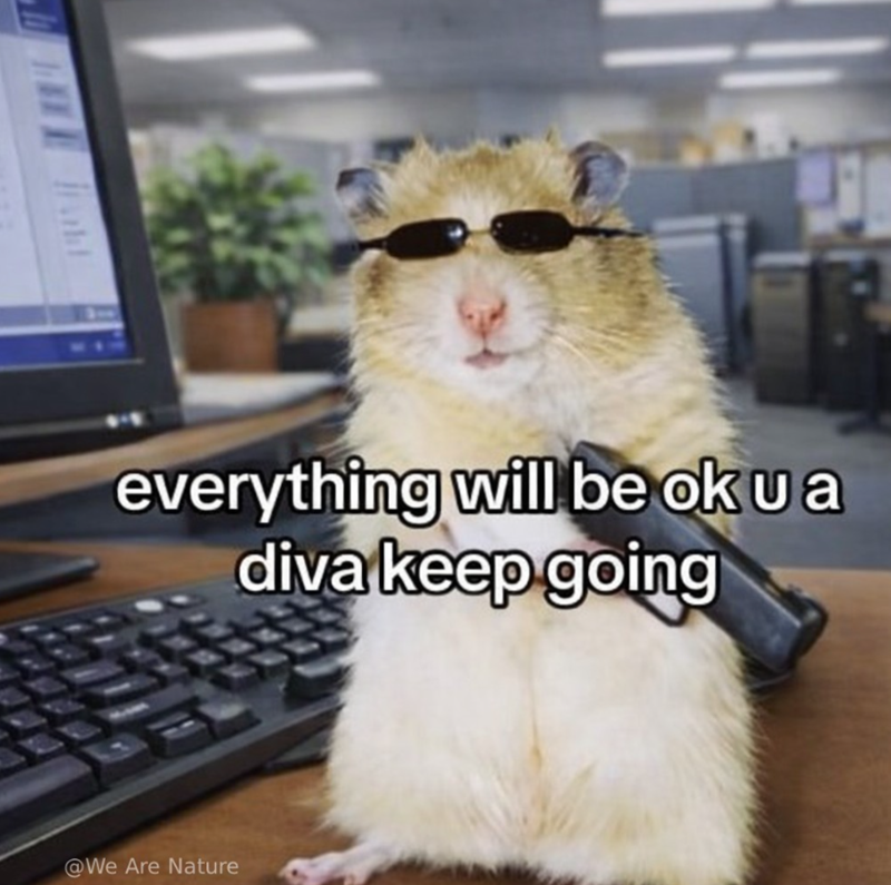 everything will be ok u a diva keep going @We Are Nature