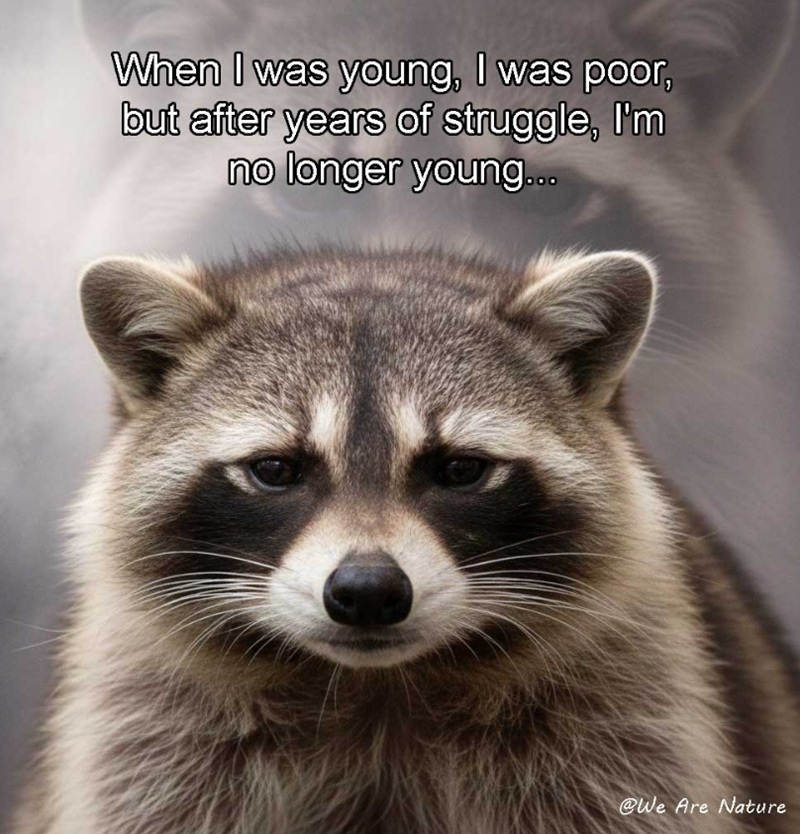 When I was young, I was poor, but after years of struggle, I'm no longer young. @We Are Nature
