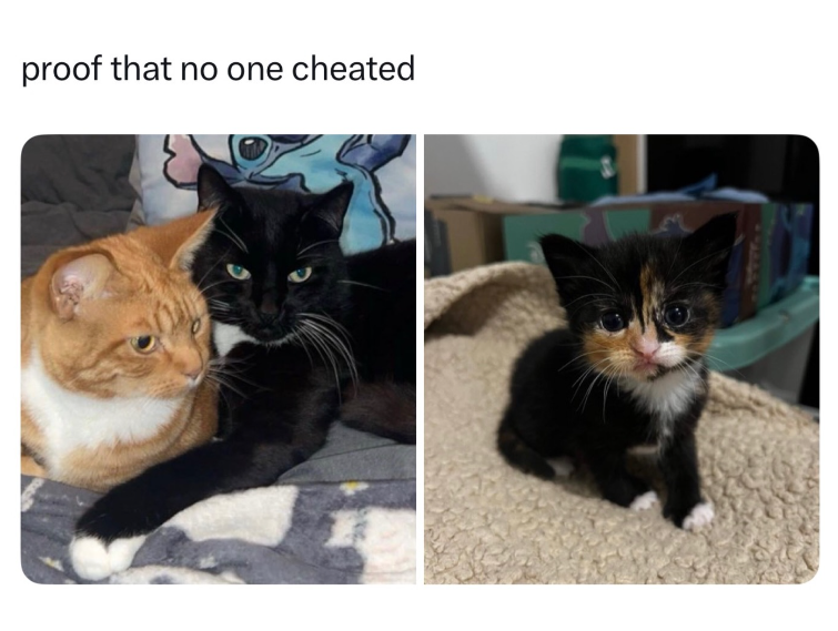 proof that no one cheated La