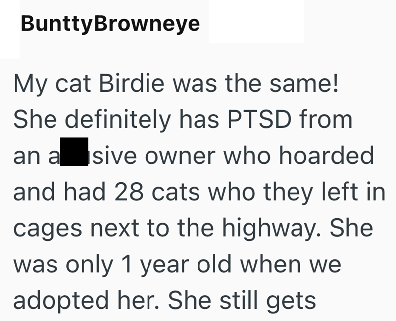 BunttyBrowneye My cat Birdie was the same! She definitely has PTSD from an a sive owner who hoarded and had 28 cats who they left in cages next to the highway. She was only 1 year old when we adopted her. She still gets