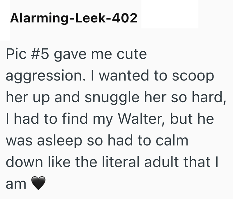 Alarming-Leek-402 Pic #5 gave me cute aggression. I wanted to scoop her up and snuggle her so hard, I had to find my Walter, but he was asleep so had to calm down like the literal adult that I am