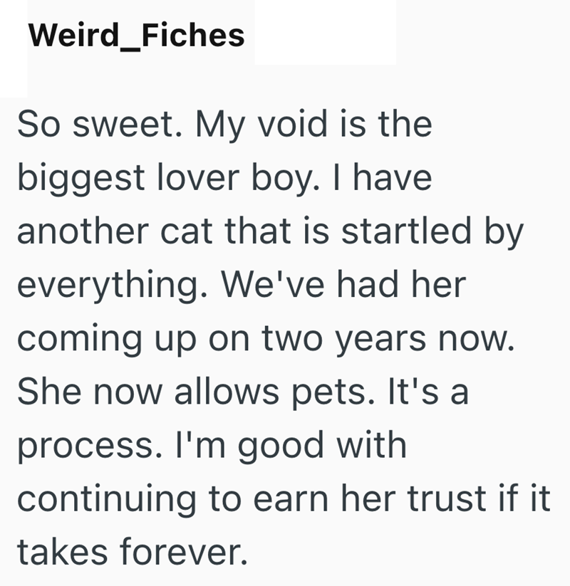 Weird_Fiches So sweet. My void is the biggest lover boy. I have another cat that is startled by everything. We've had her coming up on two years now. She now allows pets. It's a process. I'm good with continuing to earn her trust if it takes forever.