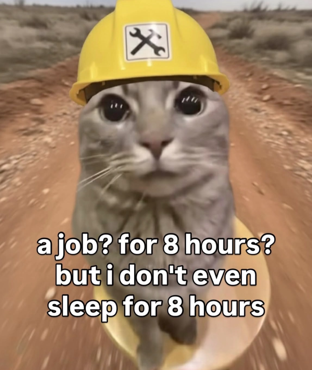 a job? for 8 hours? but i don't even sleep for 8 hours