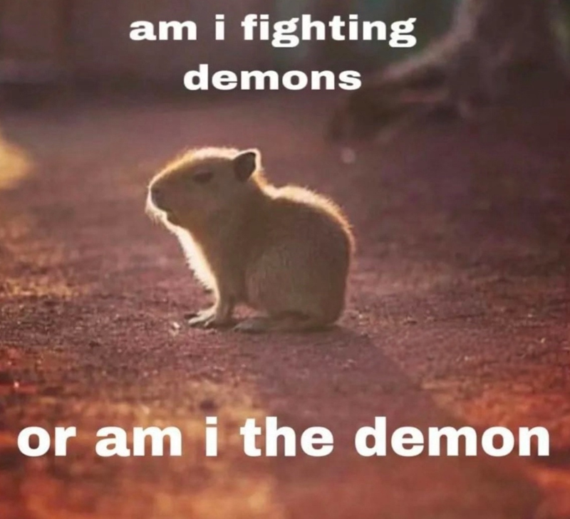 am i fighting demons or am i the demon