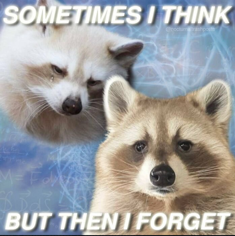 SOMETIMES I THINK @nocturnaltrashposts wh πrme M= Foly Bak BUT THEN FORGET