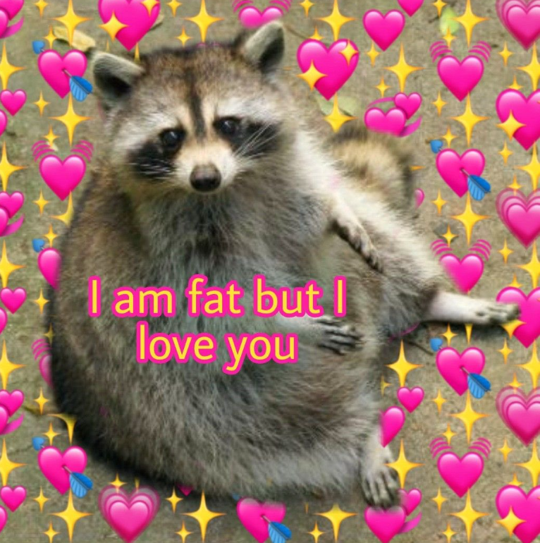 I am fat but love you