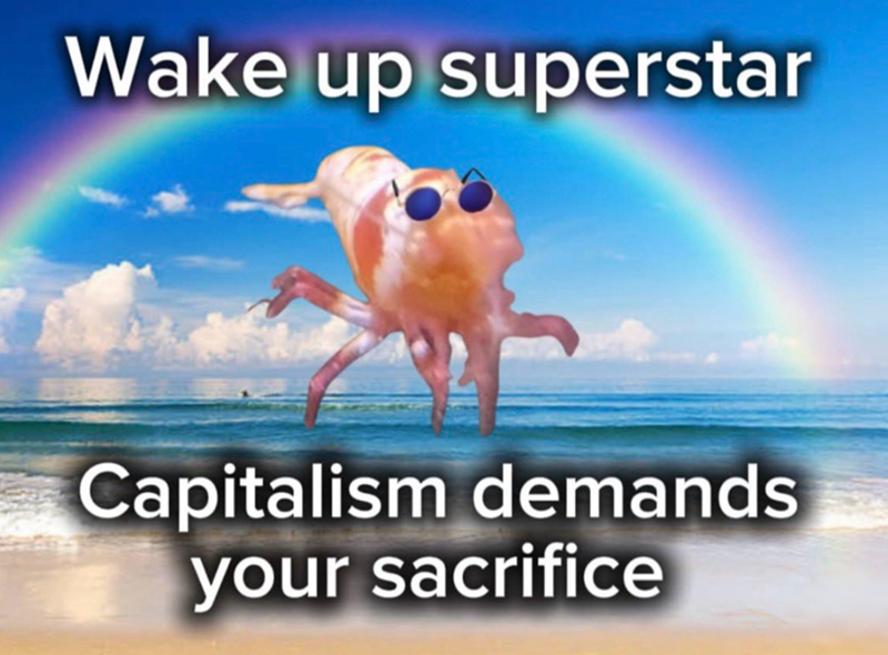 Wake up superstar Capitalism demands your sacrifice