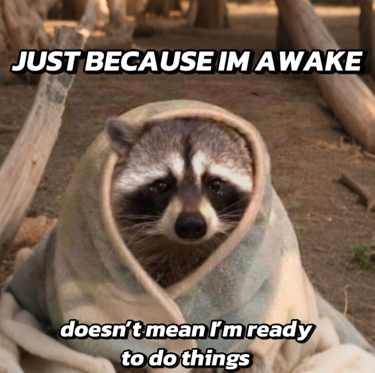 JUST BECAUSE IM AWAKE doesn't mean I'm ready to do things