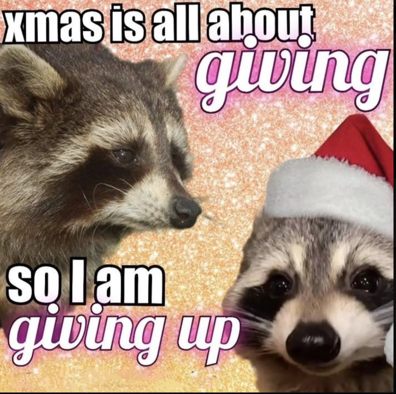 xmas is all about giving so I am giving up