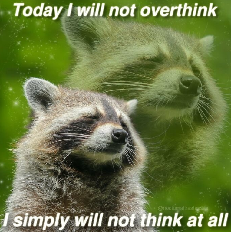 Today I will not overthink @nocturnaltrashposts I simply will not think at all