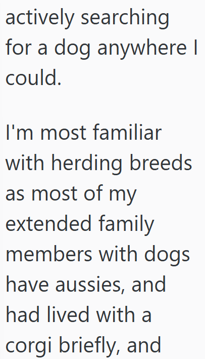 actively searching for a dog anywhere I could. I'm most familiar with herding breeds as most of my extended family members with dogs have aussies, and had lived with a corgi briefly, and