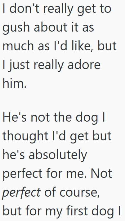 I don't really get to gush about it as much as I'd like, but I just really adore him. He's not the dog I thought I'd get but he's absolutely perfect for me. Not perfect of course, but for my first dog I