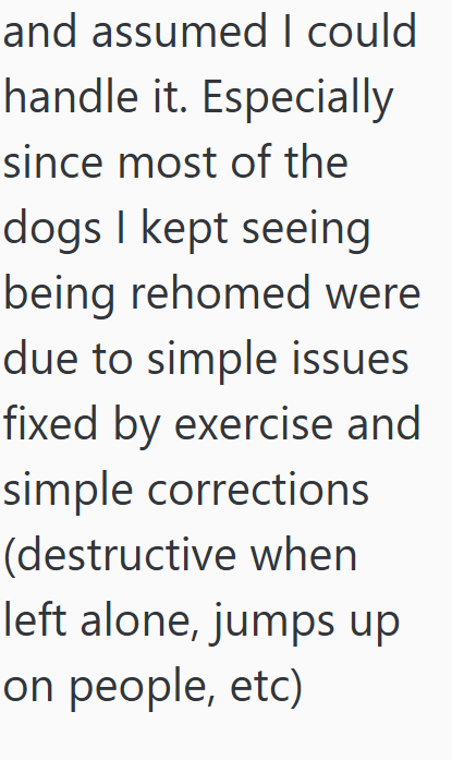 and assumed I could handle it. Especially since most of the dogs I kept seeing being rehomed were due to simple issues fixed by exercise and simple corrections (destructive when left alone, jumps up on people, etc)