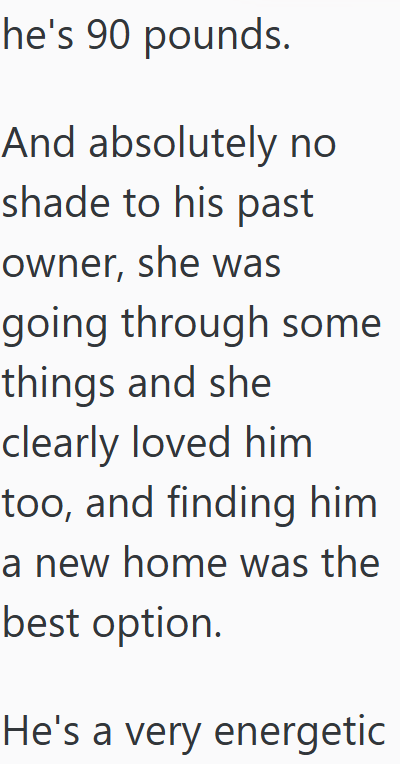 he's 90 pounds. And absolutely no shade to his past owner, she was going through some things and she clearly loved him too, and finding him a new home was the best option. He's a very energetic