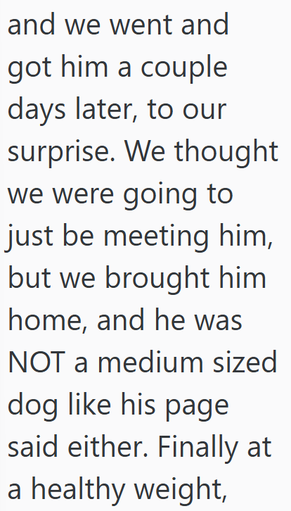 and we went and got him a couple days later, to our surprise. We thought we were going to just be meeting him, but we brought him home, and he was NOT a medium sized dog like his page said either. Finally at a healthy weight,