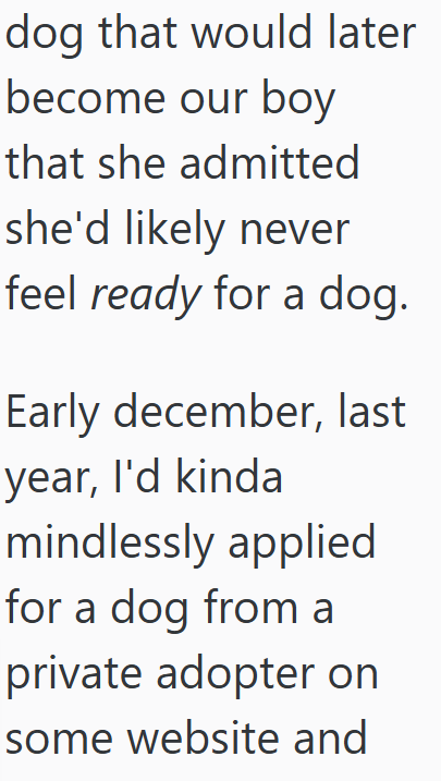 dog that would later become our boy that she admitted she'd likely never feel ready for a dog. Early december, last year, I'd kinda mindlessly applied for a dog from a private adopter on some website and