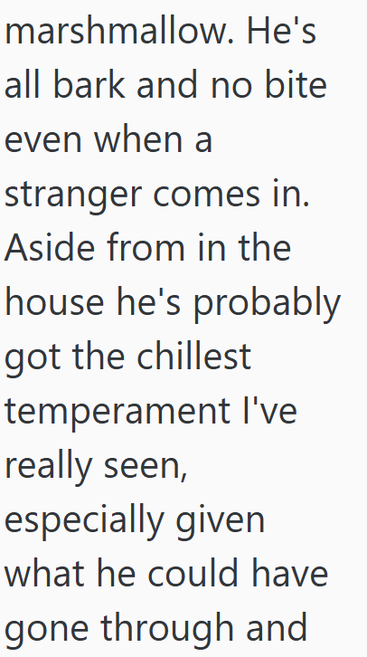 marshmallow. He's all bark and no bite even when a stranger comes in. Aside from in the house he's probably got the chillest temperament I've really seen, especially given what he could have gone through and