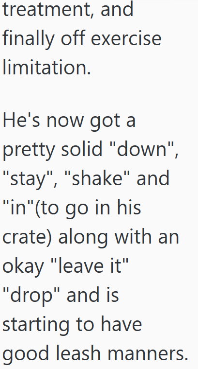 treatment, and finally off exercise limitation. He's now got a pretty solid "down", "stay", "shake" and "in" (to go in his crate) along with an okay "leave it" "drop" and is starting to have good leash manners.
