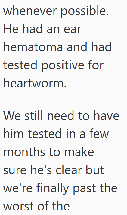 whenever possible. He had an ear hematoma and had tested positive for heartworm. We still need to have him tested in a few months to make sure he's clear but we're finally past the worst of the