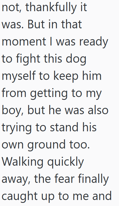 not, thankfully it was. But in that moment I was ready to fight this dog myself to keep him from getting to my boy, but he was also trying to stand his own ground too. Walking quickly away, the fear finally caught up to me and