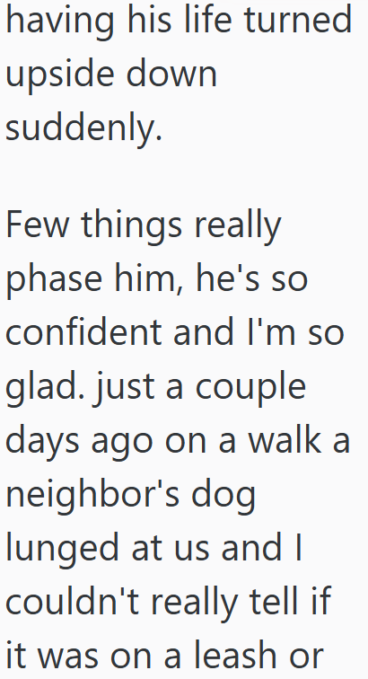 having his life turned upside down suddenly. Few things really phase him, he's so confident and I'm so glad. just a couple days ago on a walk a neighbor's dog lunged at us and I couldn't really tell if it was on a leash or