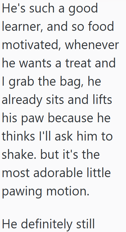 He's such a good learner, and so food motivated, whenever he wants a treat and I grab the bag, he already sits and lifts his paw because he thinks I'll ask him to shake. but it's the most adorable little pawing motion. He definitely still