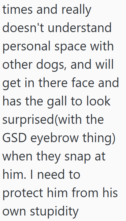 times and really doesn't understand personal space with other dogs, and will get in there face and has the gall to look surprised(with the GSD eyebrow thing) when they snap at him. I need to protect him from his own stupidity