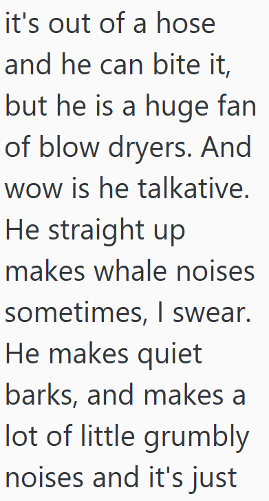 it's out of a hose and he can bite it, but he is a huge fan of blow dryers. And wow is he talkative. He straight up makes whale noises sometimes, I swear. He makes quiet barks, and makes a lot of little grumbly noises and it's just