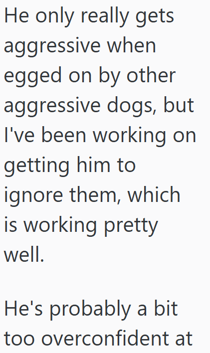 He only really gets aggressive when egged on by other aggressive dogs, but I've been working on getting him to ignore them, which is working pretty well. He's probably a bit too overconfident at