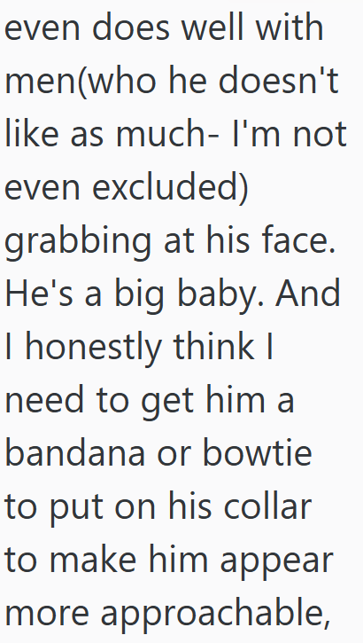 even does well with men(who he doesn't like as much- I'm not even excluded) grabbing at his face. He's a big baby. And I honestly think I need to get him a bandana or bowtie to put on his collar to make him appear more approachable,
