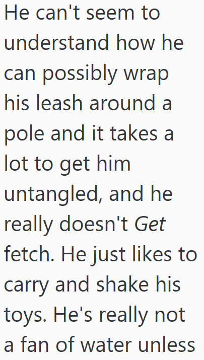 He can't seem to understand how he can possibly wrap his leash around a pole and it takes a lot to get him untangled, and he really doesn't Get fetch. He just likes to carry and shake his toys. He's really not a fan of water unless