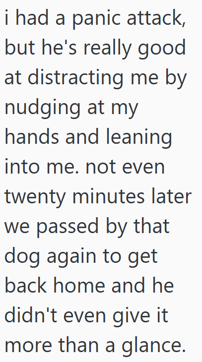 i had a panic attack, but he's really good at distracting me by nudging at my hands and leaning into me. not even twenty minutes later we passed by that dog again to get back home and he didn't even give it more than a glance.