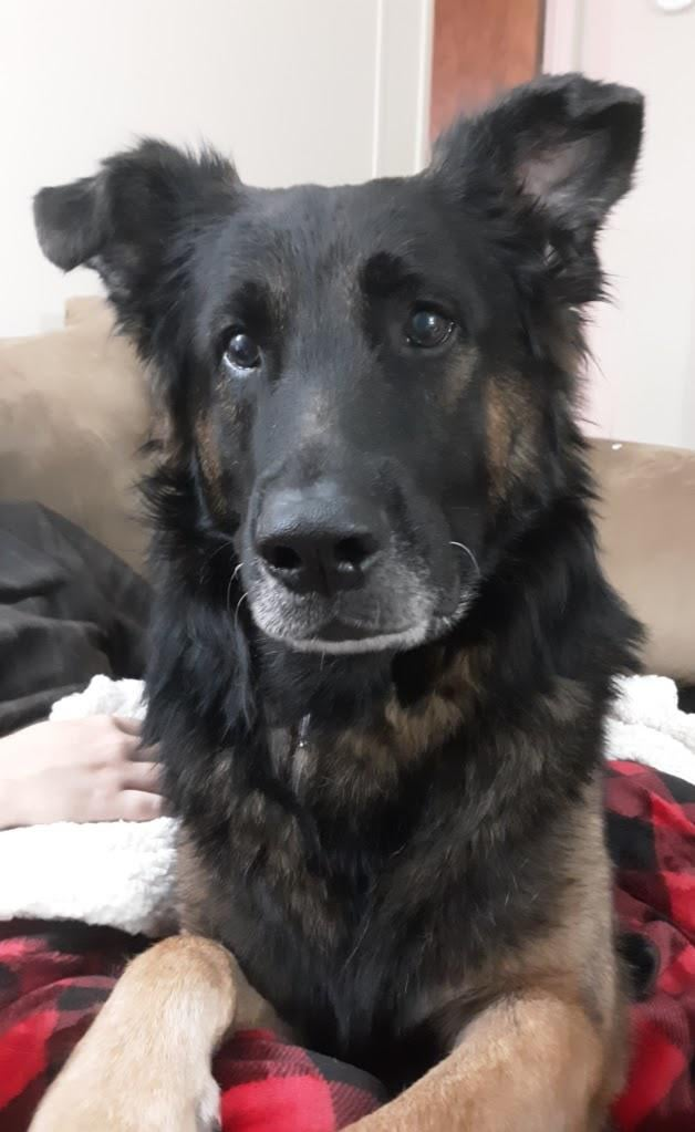 Cheezburger Image 10613364736