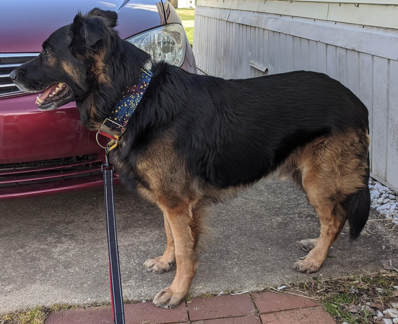 Cheezburger Image 10613364992