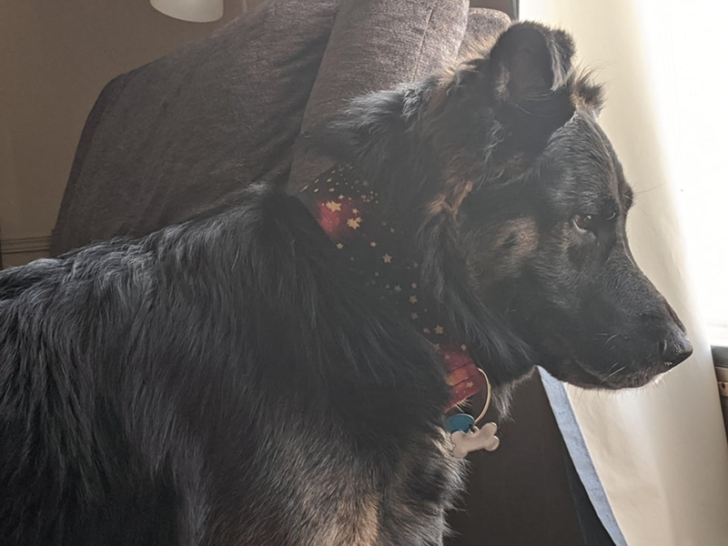 Cheezburger Image 10613365504