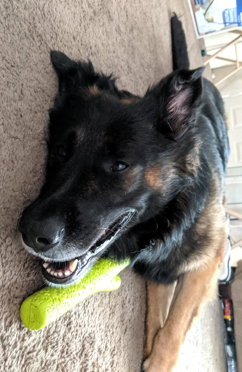 Cheezburger Image 10613366016