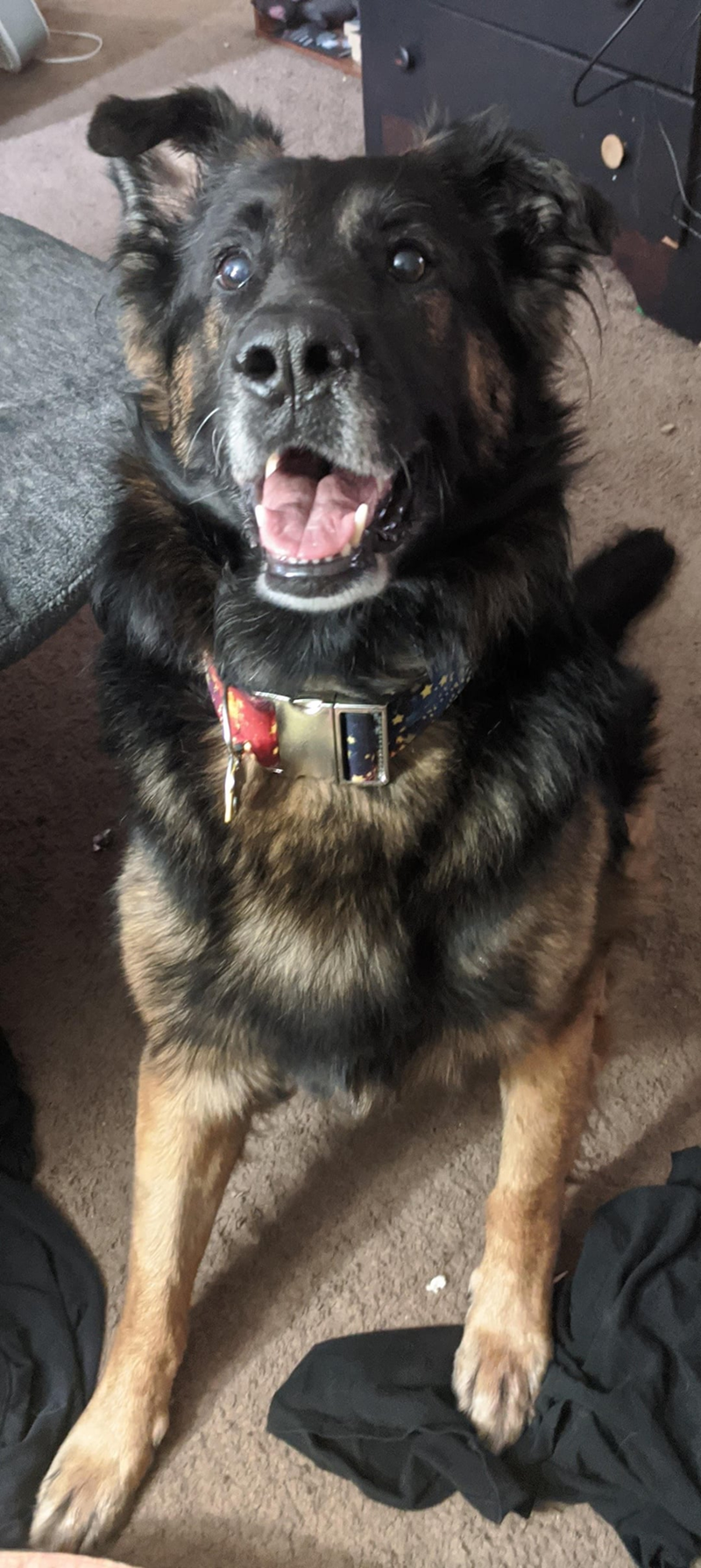 Cheezburger Image 10613366272