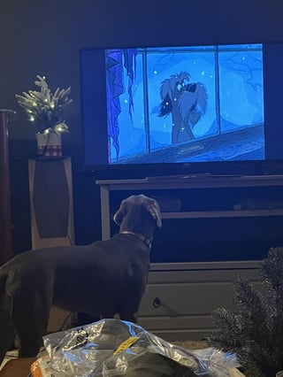 Cheezburger Image 10613366528