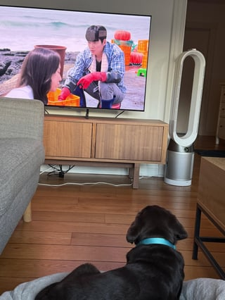 Cheezburger Image 10613367040