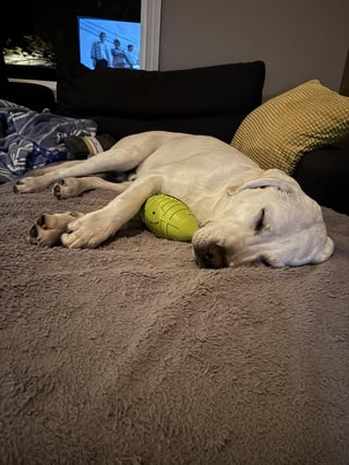 Cheezburger Image 10613367296