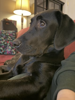 Cheezburger Image 10613367808