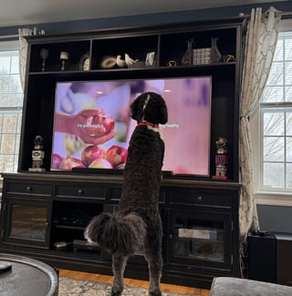 Cheezburger Image 10613369600