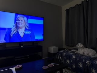 Cheezburger Image 10613370624