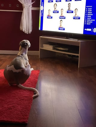 DOO GAUD = THALEN SALLY