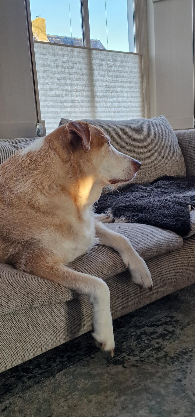 Cheezburger Image 10613372672