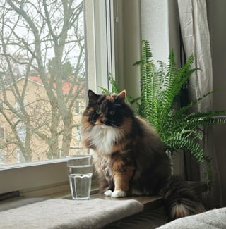 Cheezburger Image 10613373184