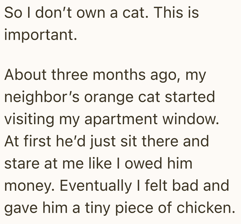 So I don't own a cat. This is important. About three months ago, my neighbor's orange cat started visiting my apartment window. At first he'd just sit there and stare at me like I owed him money. Eventually I felt bad and gave him a tiny piece of chicken.