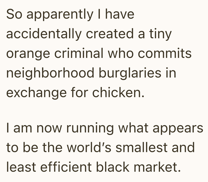 So apparently I have accidentally created a tiny orange criminal who commits neighborhood burglaries in exchange for chicken. I am now running what appears to be the world's smallest and least efficient black market.