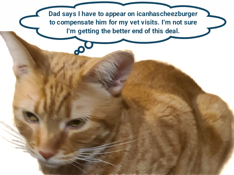 Cheezburger Image 10613382656