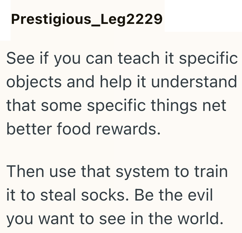 Prestigious_Leg2229 See if you can teach it specific objects and help it understand that some specific things net better food rewards. Then use that system to train it to steal socks. Be the evil you want to see in the world.